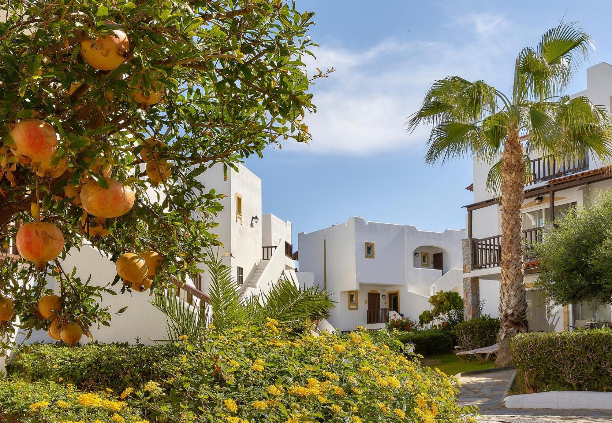 Alexander Beach Hotel & Village Resort Малиа Экстерьер фото